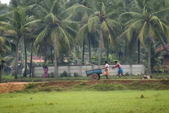 Framed Print : Scene during monsoon at Mannarsala, Kerala, India
