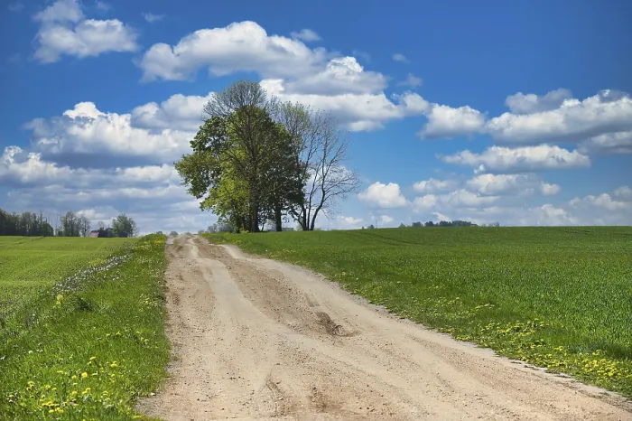 Framed Print : Scenic countryside scene with a dirt road surrounded by lush green fields Framed Print : Scenic countryside scene with a dirt road surrounded by lush green fields