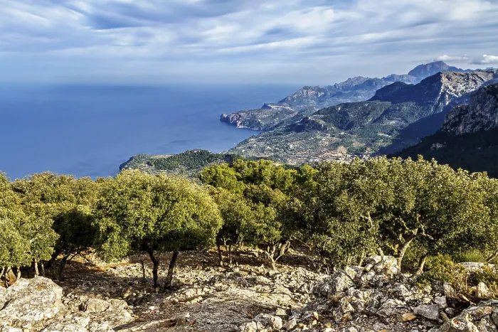Framed Print : Scenic overlook of a rugged coastline with mountains and trees Framed Print : Scenic overlook of a rugged coastline with mountains and trees