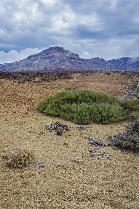 Framed Print : Scenic, unusual and unique volcanic landscape around Teide mountain national park