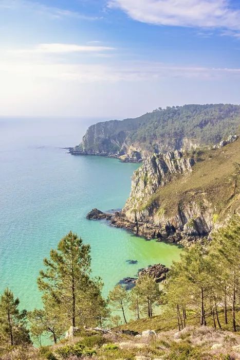 Framed Print : Scenics rocky coastline with a sea view and pine trees on the steep slope a sunny summer day Framed Print : Scenics rocky coastline with a sea view and pine trees on the steep slope a sunny summer day