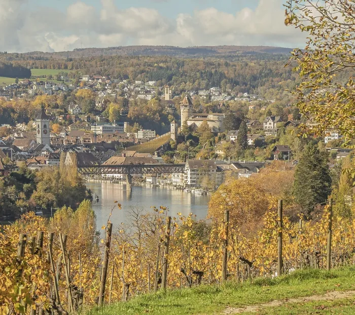 Framed Print : Schaffhausen with Munot Fortress and St