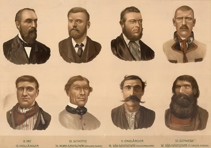 Framed Print : Schematic diagram, European ethnic types: Irish