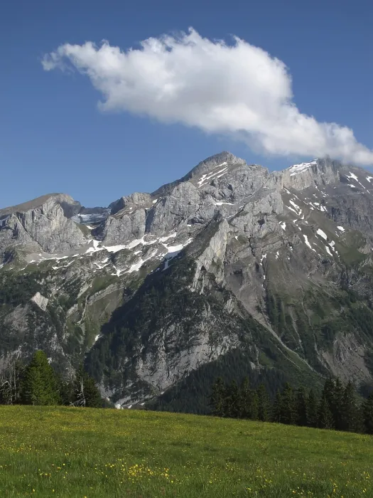Framed Print : Schlauchhorn