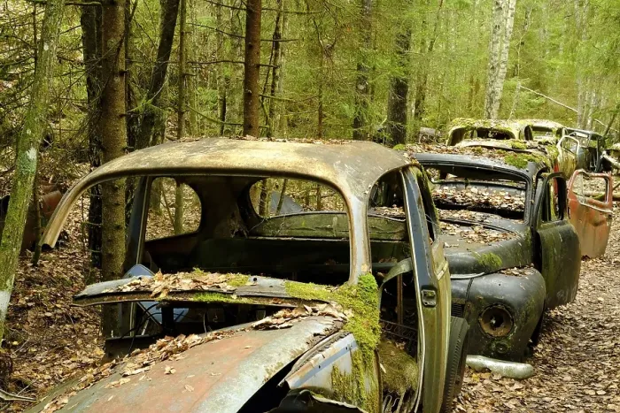 Framed Print : Scrap cars in a row in the forest Framed Print : Scrap cars in a row in the forest