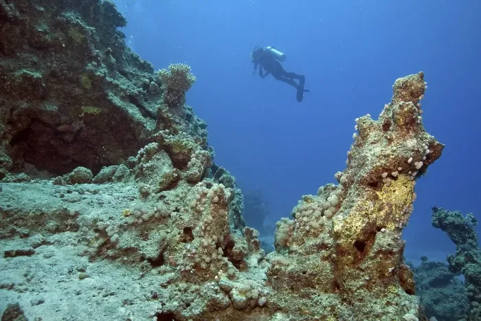 Framed Print : Scuba diver at a reef, Marsa Alam