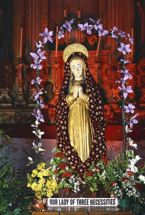 Framed Print : Se cathedral, Old Goa, India