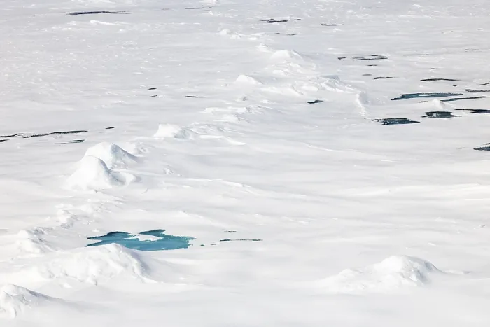 Framed Print : Sea ice at the ice edge, 82nd parallel