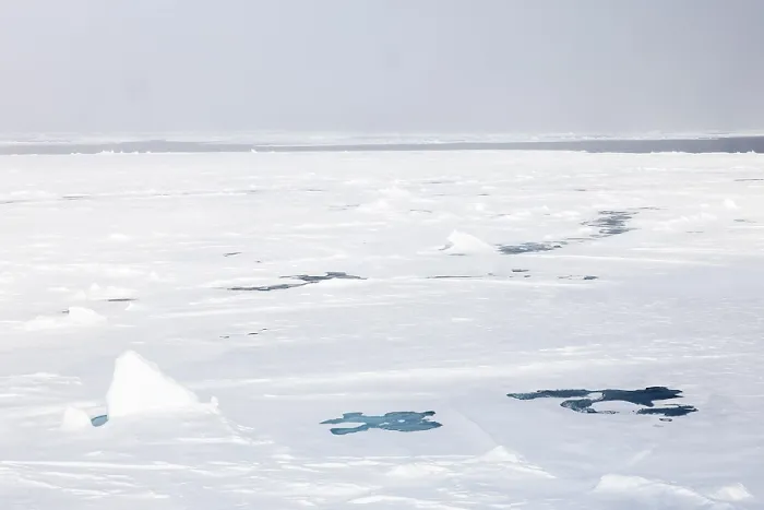 Framed Print : Sea ice at the ice edge, 82nd parallel