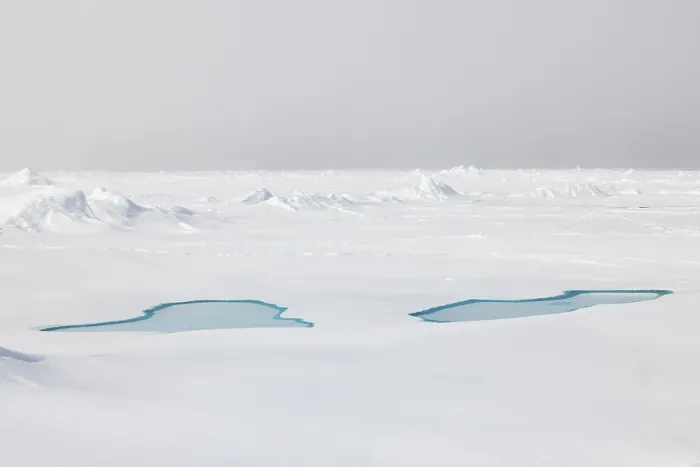 Framed Print : Sea ice at the ice edge, 82nd parallel