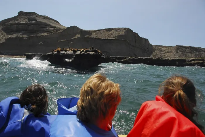 Framed Print : Sea lion colony near Puerto Piramides