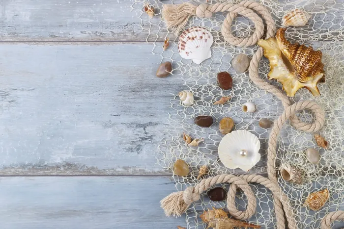 Framed Print : Sea shells in a fishnet, on wooden board