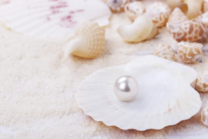Framed Print : Sea shells and pearl on sand summer vacation background Framed Print : Sea shells and pearl on sand summer vacation background