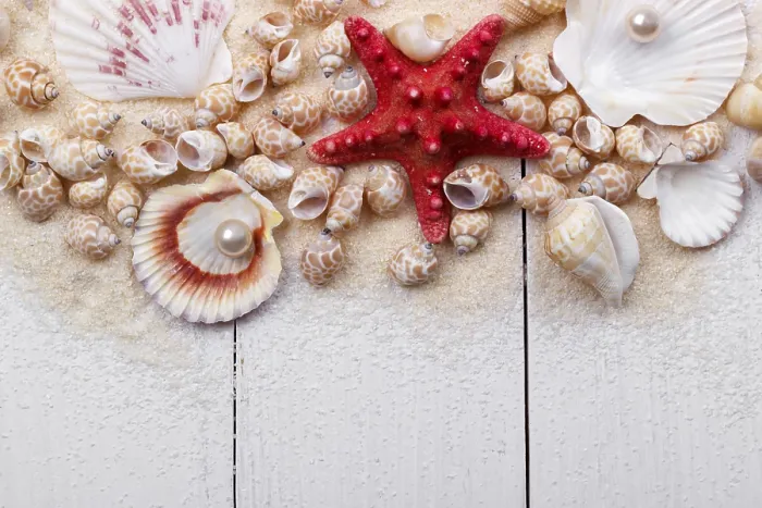 Framed Print : Sea shells on sand summer vacation background