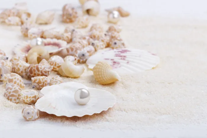 Framed Print : Sea shells on sand summer vacation background