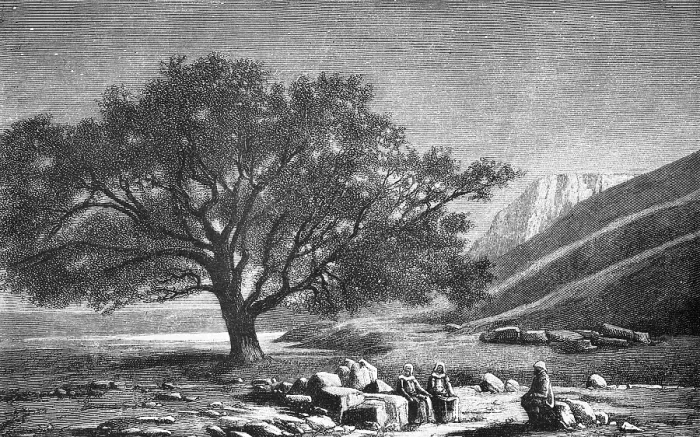 Framed Print : At the Sea of Tiberias or Sea of Galilee, Sea of Galilee, Christian pilgrimage site, miracle of Jesus, below sea level, tree, rock, people, travelling in Asia, Israel, historical illustration 1887, Asia