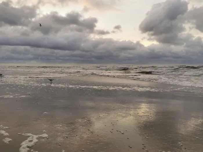 Framed Print : Seagulls fly over the waves of a stormy sea at dusk