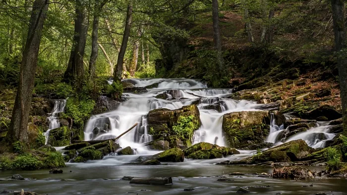 Framed Print : Selke Waterfall in the Harz Mountains Waterfall