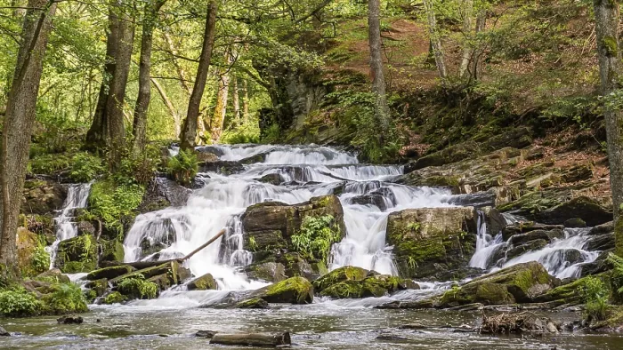 Framed Print : Selke Waterfall in the Harz Mountains Waterfall Framed Print : Selke Waterfall in the Harz Mountains Waterfall