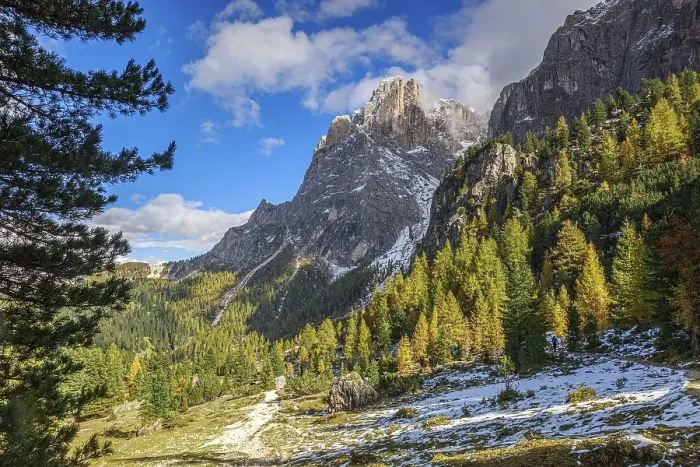 Framed Print : The Sella Group mountain landscape in the Alps with forest and snow under a sunny sky