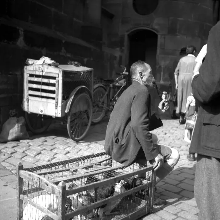 Framed Print : Seller sits on a cage with chickens and smokes his pipe Framed Print : Seller sits on a cage with chickens and smokes his pipe