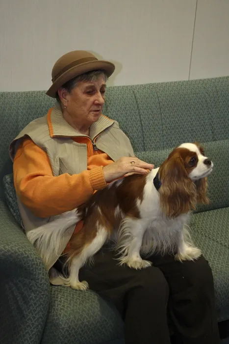Framed Print : Senior citizen with Cavalier King Charles Spaniel