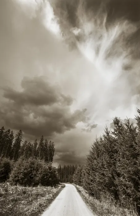 Framed Print : Sepia-coloured, forest path through a coniferous forest with threatening storm clouds in the sky