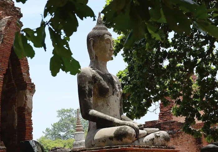 Framed Print : Serene buddha statue sits in peaceful meditation amidst crumbling temple ruins Framed Print : Serene buddha statue sits in peaceful meditation amidst crumbling temple ruins