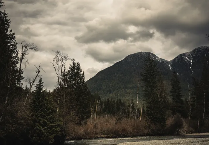 Framed Print : A serene river flowing through trees with mountains in the background under a cloudy sky in Golden Ears Provincial Park