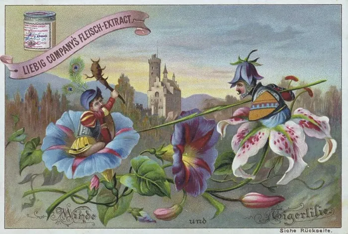 Framed Print : Series Flowers and Legends, Winds and Tiger Lily
