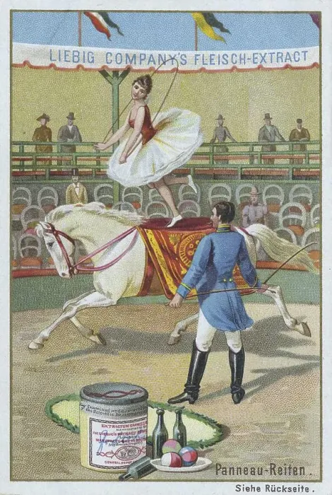 Framed Print : Series Horse Dressage in the Circus Framed Print : Series Horse Dressage in the Circus