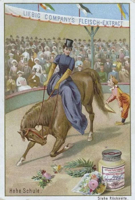 Framed Print : Series Horse Dressage in the Circus