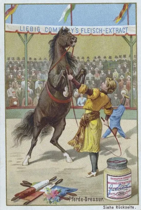 Framed Print : Series Horse Dressage in the Circus