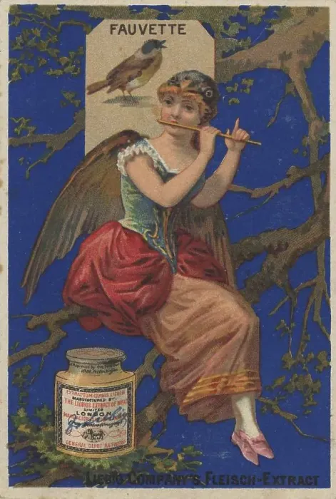 Framed Print : Series of pictures Birds 1, warbler and a woman with wings