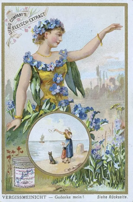 Framed Print : Series of symbols of flowers related to persons