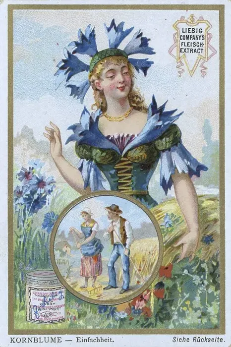Framed Print : Series Symbols of Flowers related to Persons Framed Print : Series Symbols of Flowers related to Persons