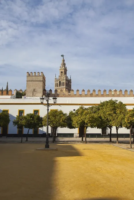 Framed Print : Seville cathedral Giralda tower from Alcazar of Sevilla Andalusia Spain Framed Print : Seville cathedral Giralda tower from Alcazar of Sevilla Andalusia Spain