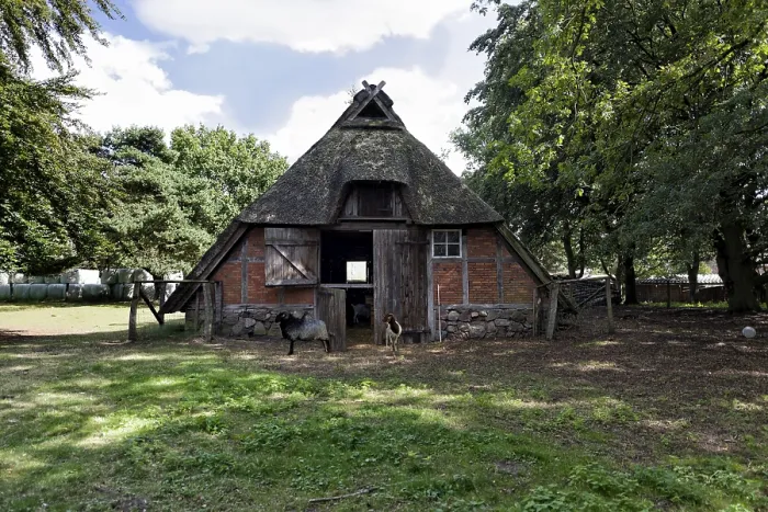 Framed Print : Sheepfold in the Luneburg Heath Framed Print : Sheepfold in the Luneburg Heath