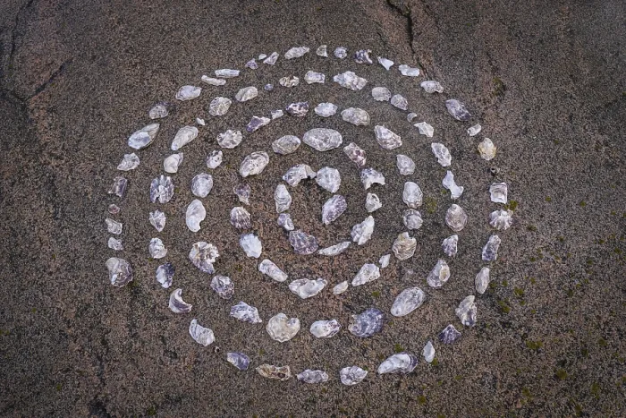 Framed Print : Shell mandala, circle made of shells on a granite rock