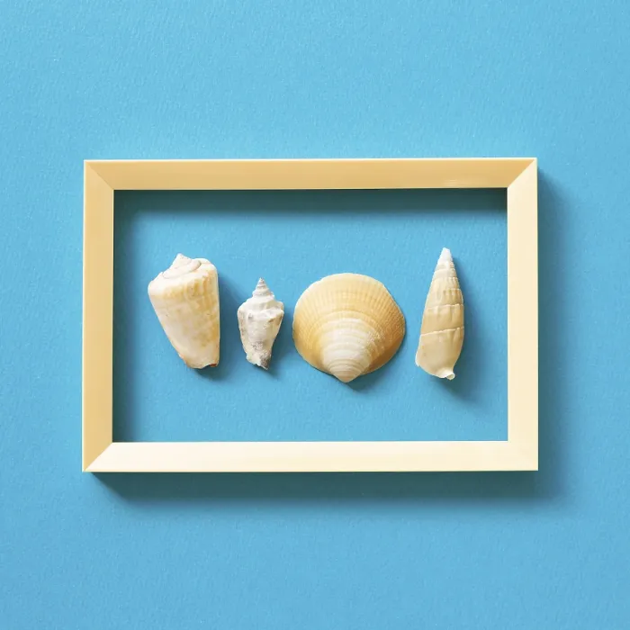 Framed Print : Shellfish on blue background. summer marine decoration