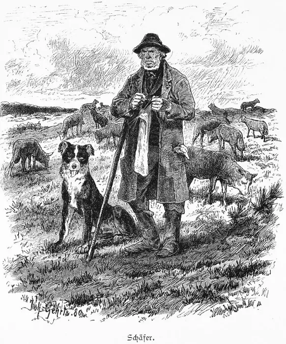 Framed Print : Shepherd, Mecklenburg-Western Pomerania Framed Print : Shepherd, Mecklenburg-Western Pomerania