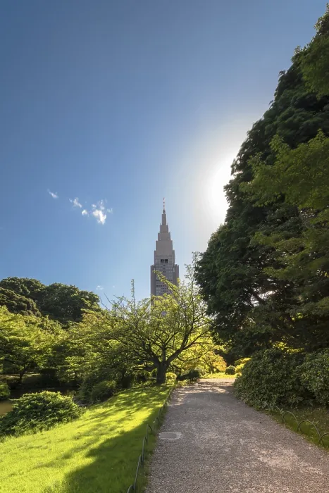 Framed Print : Shinjuku's Docomo tower overlooking the Upper Pond and the pine Framed Print : Shinjuku's Docomo tower overlooking the Upper Pond and the pine