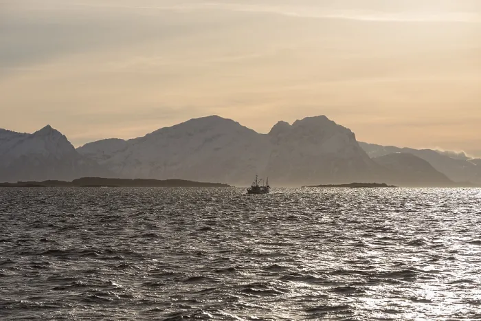 Framed Print : Ship, backlit, Lofoten, Norway, Europe