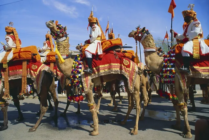 Framed Print : Shobha yatra, Jaisalmer, Rajasthan, India