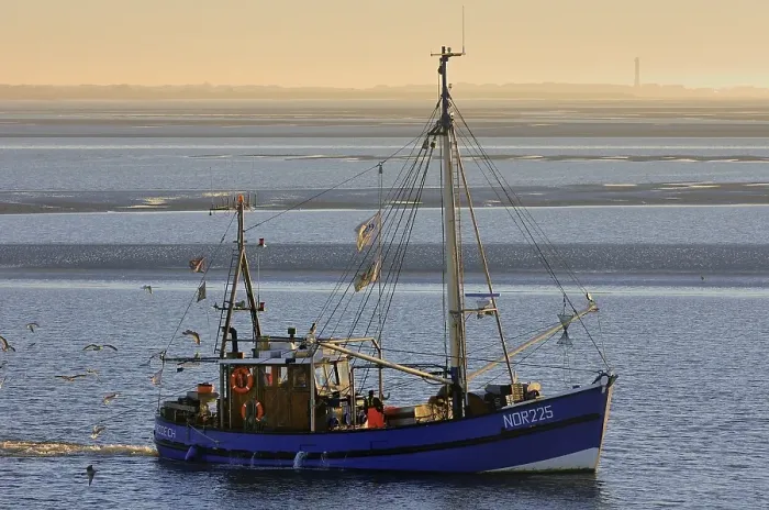 Framed Print : Shrimp boat on the Wadden Sea in front of Norderney Framed Print : Shrimp boat on the Wadden Sea in front of Norderney