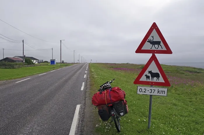 Framed Print : Sign warns of reindeer and sheep on the road