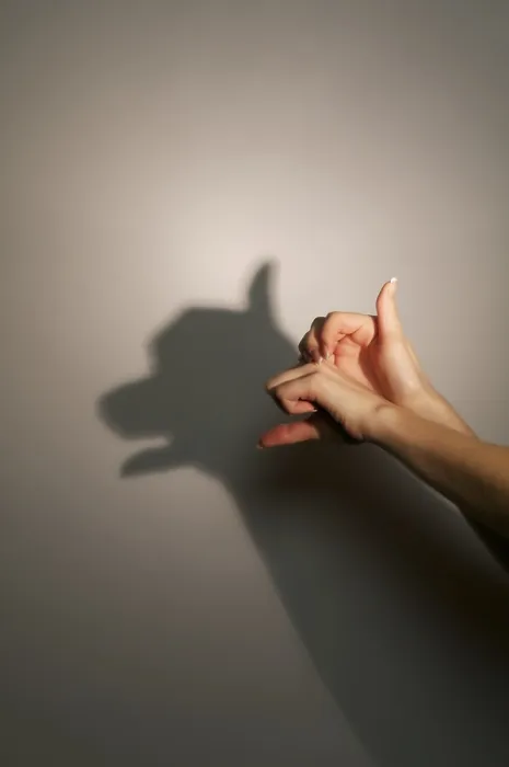 Framed Print : Silhouette shadow of dog or bear from young womans hands Framed Print : Silhouette shadow of dog or bear from young womans hands