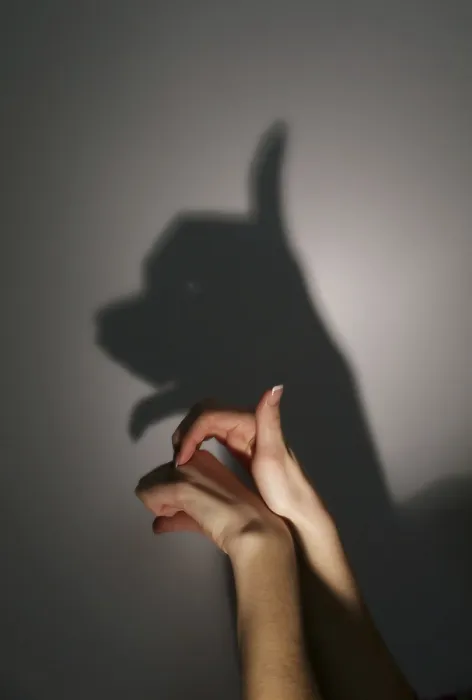 Framed Print : Silhouette shadow of young dog from young womans hands