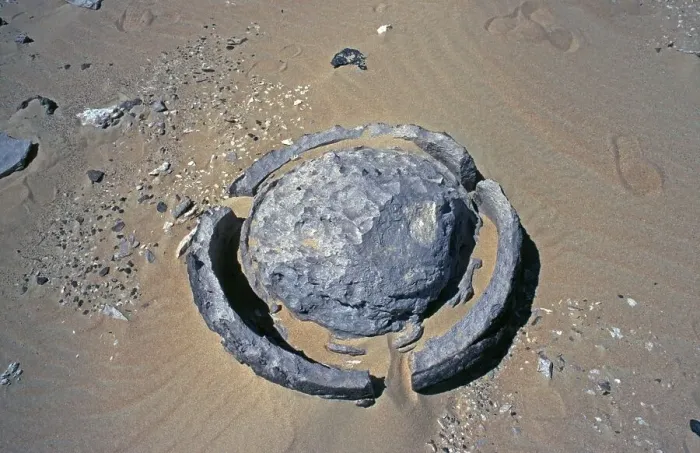 Framed Print : Silicified marble sphere, Libyan Desert Framed Print : Silicified marble sphere, Libyan Desert