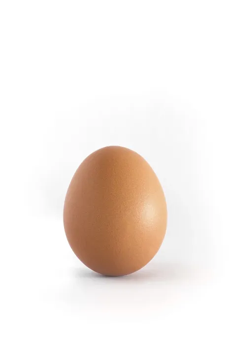 Framed Print : Single egg on white background vertical